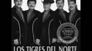 causame la muertelos tigres del norte [upl. by Airalav]