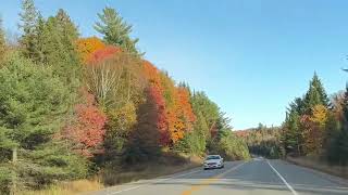 Fall view  Algonquin provincial park Ontario [upl. by Croom]