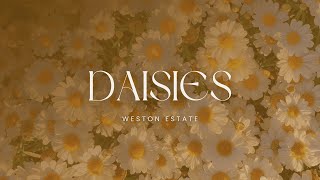 Weston Estate  Daisies  TRADUÇÃO [upl. by Nate]