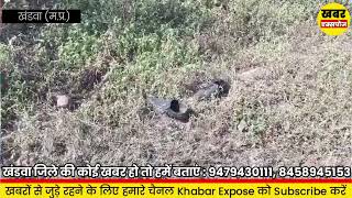 Khandwa मर्डर के बाद गड्डे में फेंकी गई थी लाश अज्ञात आरोपी के खिलाफ पदमनगर थाने में केस दर्ज [upl. by Mima]