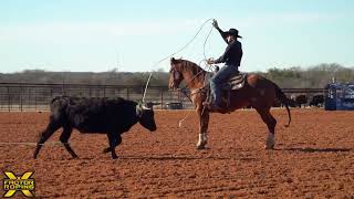 JR Dees Team Roping Practice Session  X Factor Team Roping [upl. by Aianat]