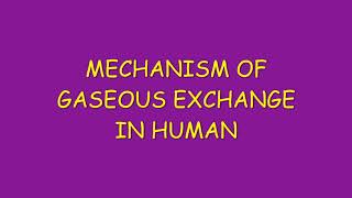 MECHANISM OF GASEOUS EXCHANGE IN HUMANS [upl. by Helsell466]