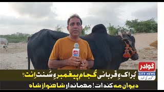 Buraq e Qurbani Kujam Pegammbar e Sunnat enlDeewan Makande l ShahNawaz Shah l Gwadar City News [upl. by Jermayne]