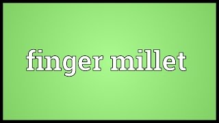 Finger millet Meaning [upl. by Eilrac581]