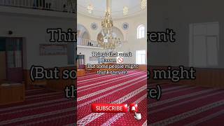 Things that arent Haram 🚫🚫islamicshorts islamicbelief ytshorts haram facts [upl. by Nesyt]