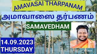 Amavasi Tharpanam SAMAVEDHAM ஸாமவேத அமாவாஸை தார்ப்பணம் 14092023 THURSDAY [upl. by Chow37]