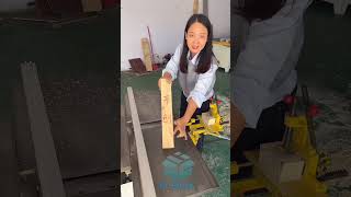 3 in 1 Table saw Multi function woodworking machine [upl. by Atikihc357]