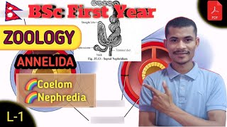 L1 Coelom amp Nephridia ● ANNELIDA ● BSc First Year ● ZOOLOGY ● TU ● NEPAL [upl. by Subocaj]