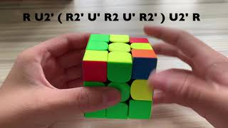 OLL and PLL Algorithms on 3x3 rubiks cube [upl. by Assirim683]