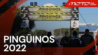 MAPFRE Cuidamos tuMOTO Las rarezas de Pingüinos [upl. by Castra914]