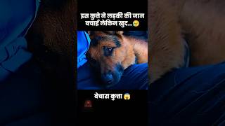 इस डॉग ने लड़की की जान बचाया 🐶😱 movie explained in hindi shorts dog trending shortsfeed short [upl. by Spillihp]