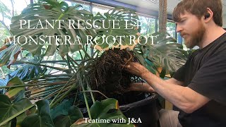 Monstera Root Rot  Plant Rescue E4 [upl. by Mik]