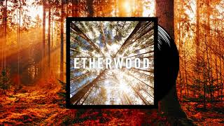 Etherwood Album Continuous Mix  Beautiful Liquid Drum n Bass [upl. by Sonafets]