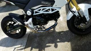 2015 Honda Grom Slash cut Straight pipe [upl. by Arni]