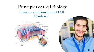 The Plasma Membrane of The Cell  Principles of Cell Biology [upl. by Oinafipe42]