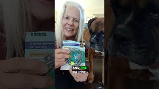 VetRecommended Flea amp Tick Defense Breeze PureShield for 8 Months 🌿🛡️ [upl. by Slifka429]