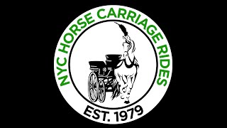 NYC Horse Carriage Rides  Official Central Park Carriage Rides Website [upl. by Lai888]