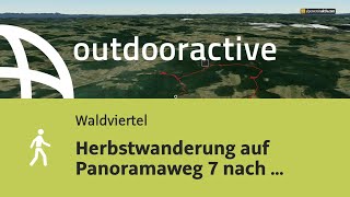 FlyoverVideo Herbstwanderung auf Panoramaweg 7 nach Rappottenstein am 3 November 2024 [upl. by Conan967]