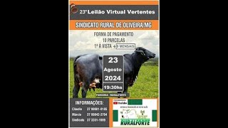 23° LEILÃO VIRTUAL DE LEITE  VERTENTES NO DIA 230824 [upl. by Rehtse413]