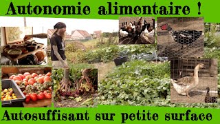 Autonomie alimentaire Être autosuffisant sur petite surface [upl. by Francene672]