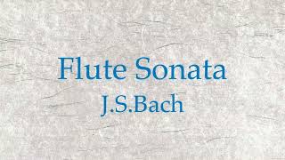 JSBach  Flute Sonata in C major BWV 1033AndanteAllegro [upl. by Tegdirb]