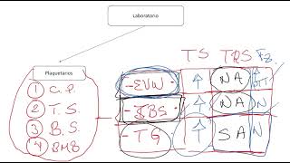 Fisiopatología y Clasifiacion de los Trastornos de la Coagulación [upl. by Aysan812]