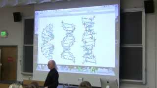 15 Biochemistry Lecture DNA Structure and Replication from Kevin Aherns BB 350 [upl. by Marc]