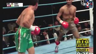 Naseem Hamed vs Armando Castro Highlights [upl. by Nitsirhc240]