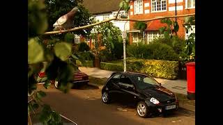 Ford Sportka  Bird 2003 UK [upl. by Silin334]