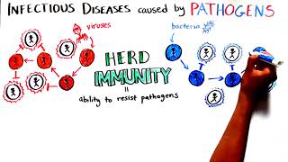 Herd Immunity Understanding COVID19 [upl. by Ardnak895]