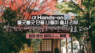 📸 울긋불긋 단풍 나들이 출사 리뷰  α Handson  봄별 작가  4K 알파 랜선 세미나 [upl. by Anuaik]