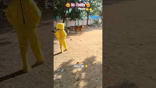 trending vcteddy funny teddybear public entertainment viralvideo teddy shorts comedy love [upl. by Ocsecnarf]