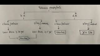 Algorithm 4  Tetanus Prophylaxis in routine wound management [upl. by Emse]