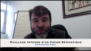 Cocon sémantique  Optimisation du maillage interne  Structure des liens [upl. by Alegnatal838]