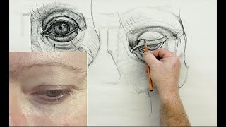 ANATOMY FOR ARTISTS Eye Anatomy [upl. by Leaffar]