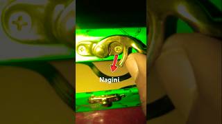 Nagini nagini music instrumental funny tranding youtube shorts [upl. by Leilamag189]