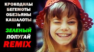 Песня Красной Шапочки  Remix  Extended [upl. by Griffy]