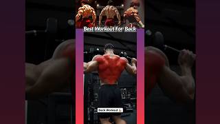 The Best Workout To Build Back the best workout build back backworkout shorts trending [upl. by Inohtna10]