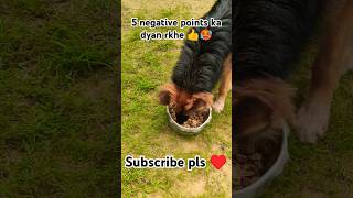 5 negative points ka dyan rkhe 👍🥵 gsd viral germansheparddog shorts gsdindia doglover like [upl. by Akirdnahs]