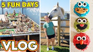 5 Fun Days LEGO Parts Twins Birthday Theme Park amp Back to City Building VLOG [upl. by Clemence]