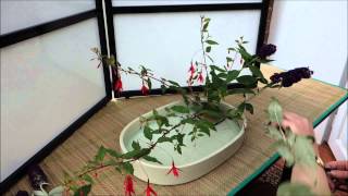 Ikebana in 10 minutes Part 2 [upl. by Phionna]