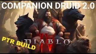 PTR Companion Druid 20  Fun Build  Diablo 4  Season 6 [upl. by Correna91]