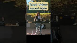 Black Velvet livemusic paloalto mitchellpark sfbayarea alannahmyles [upl. by Debi]