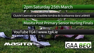 TG4 TO STREAM LIVE GAA MATCHES ONLINE [upl. by Ellennoj]