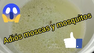 cómo deshacerse de moscas y mosquitos sólo 4 ingredientes✅ leslieviri insecticida insecticidas [upl. by Katrine787]