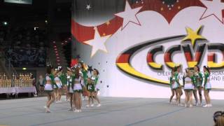 PSC Cheerleader Junior Allgirl Level 4 RM Bonn 2014 Wild Sapphires [upl. by Netsryk620]