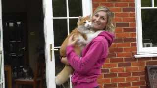 MARMALADE the hugging rescue cat saved from death [upl. by Kushner]