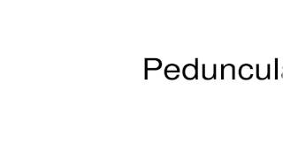 How to pronounce Pedunculata [upl. by Lila]