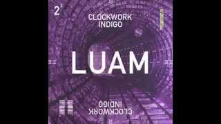 Clockwork Indigo Flatbush Zombies amp The Underachievers  LUAM [upl. by Naldo]