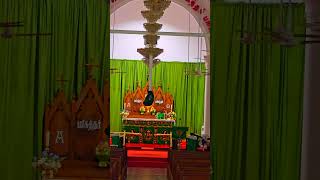 St Thomas Church Perumalpuram Tirunelveli vincybright christianshorts church christiansongs [upl. by Tertia]